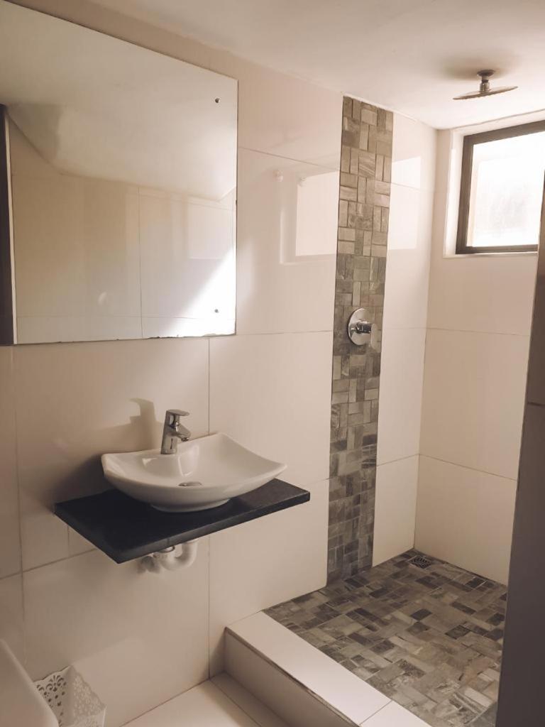 See-Struis Stilbaai Phòng bức ảnh